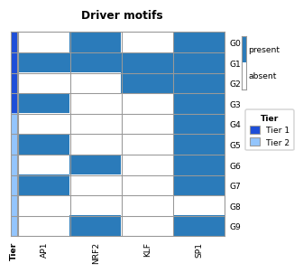 binary_motif_heatmap