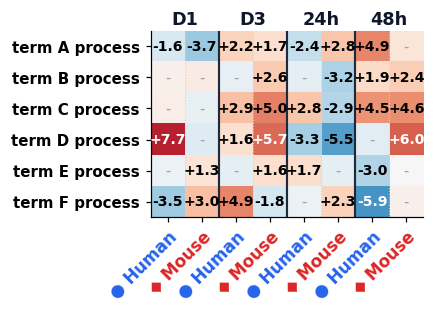 clustered_go_heatmap