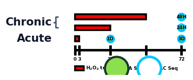 treatment_schematic