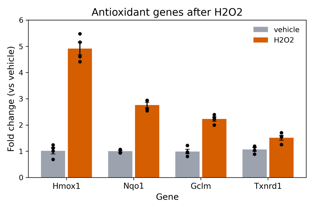 The figure the original script draws: for each of four genes, a vehicle (grey) and an H2O2 (orange) bar, replicate dots and standard error bars